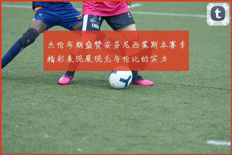 杰伦布朗盛赞安芬尼西蒙斯本赛季精彩表现展现无与伦比的实力
