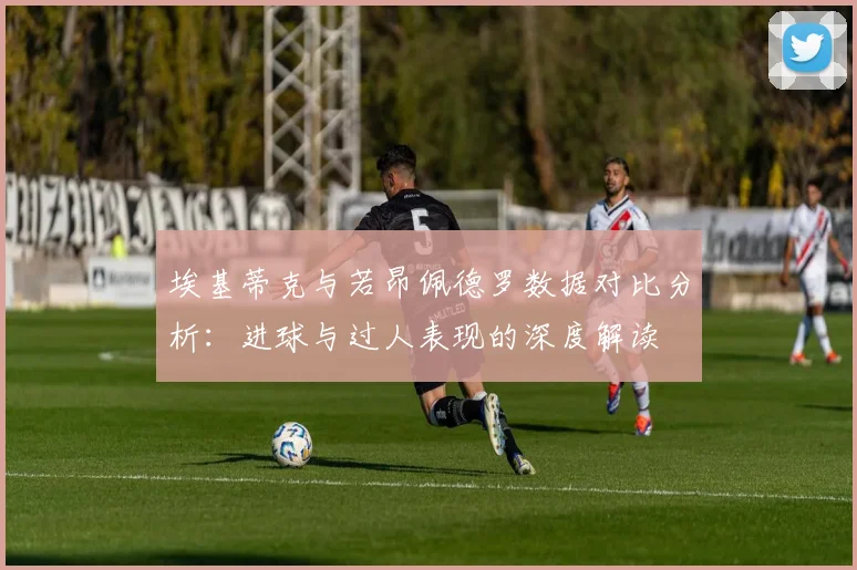 埃基蒂克与若昂佩德罗数据对比分析：进球与过人表现的深度解读