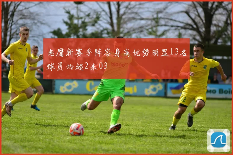 老鹰新赛季阵容身高优势明显13名球员均超2米03