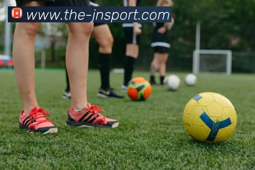 App Interface Preview